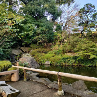 日本庭園散策風景