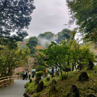 日本庭園、雲海