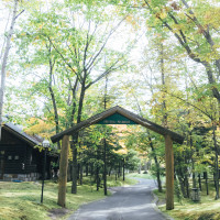 ニドムの看板