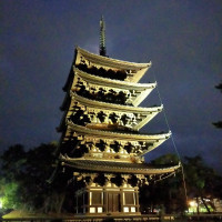 興福寺の五重塔がすぐ近く。