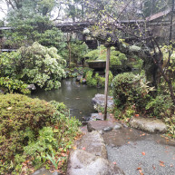 報徳二宮神社の池