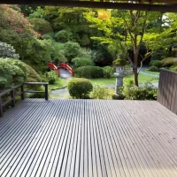 菊華荘の庭