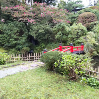 菊華荘の庭