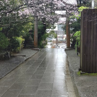 報徳二宮神社の参道