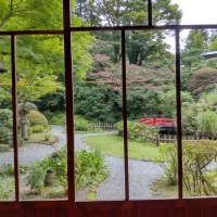 菊華荘の庭