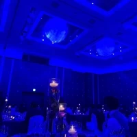 披露宴のオプションの照明