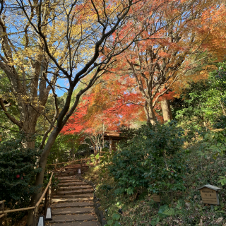 12月に下見した際紅葉がまだ残っていました。