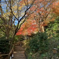 12月に下見した際紅葉がまだ残っていました。