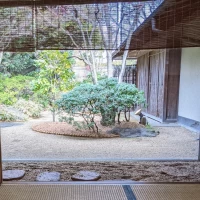 控室庭