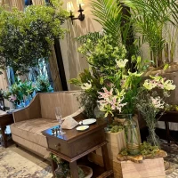 ソファ席の周りには素敵な植物が装飾されてました