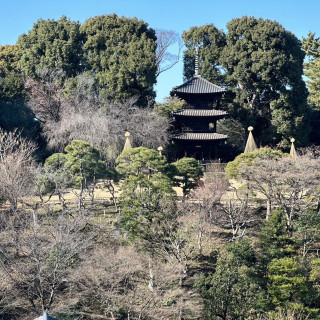 四季折々の自然が楽しめる庭園