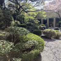 緑が綺麗な日本庭園