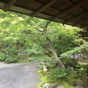 庭園通路|647871さんの高台寺ひらまつ（ひらまつウエディング）の写真(1859597)