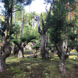 庭園|647871さんのSHOZAN RESORT KYOTO(SHOZANリゾート京都)の写真(1747362)