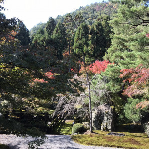 庭園|647871さんのSHOZAN RESORT KYOTO(SHOZANリゾート京都)の写真(1747363)