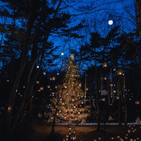 シンボルのクリスマスツリー