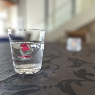 試食時にいただいたドリンク