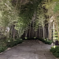 夜の竹林の外観も素敵です