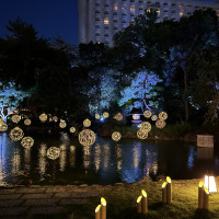 夜の庭園、ライトアップ