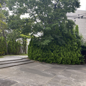 ガーデン挙式（何もセットされていない状態）|648865さんのウエディングヒル東京ベイ幕張の写真(1707781)