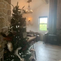 クリスマスの時期だったからツリーがあった