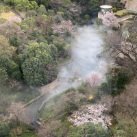 ホテルからみた庭の雰囲気です