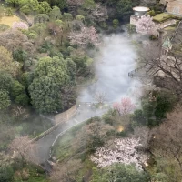 ホテルからみた庭の雰囲気です
