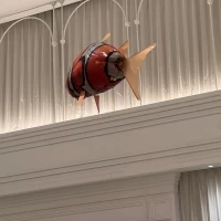 魚を高く泳がした