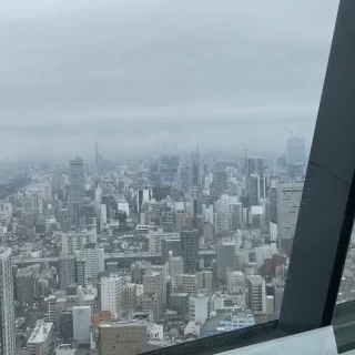 挙式会場からの景色