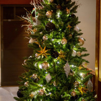 12月限定のクリスマスツリー
