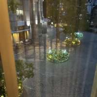 披露宴会場から外を見たとき