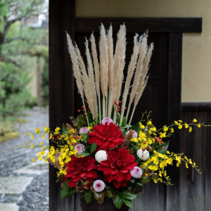 玄関前のお花|649738さんの桜鶴苑の写真(1713629)