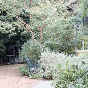 ガーデンには常緑樹も落葉樹もたくさん植わっています|649997さんの山手十番館ウエディング ハウス&ガーデンの写真(1917411)