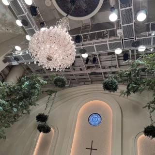 緑も、あり天井が高いです！