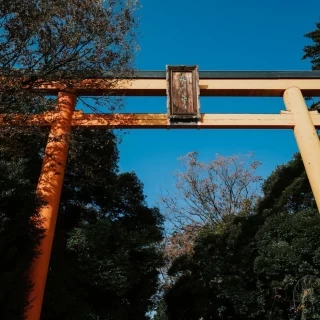 鳥居です。