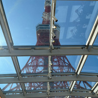 上の大きな窓から東京タワーがドーン