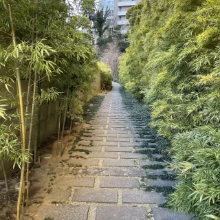 ここで写真が撮れる