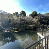 人工雲海の演出もある