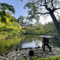 水面が気持ちいい