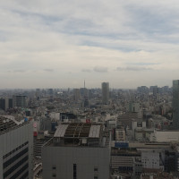 ホテルから見える景色
遠くに東京タワーが見えます。