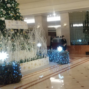 ロビーの大きなクリスマスツリーの前でも写真を撮っていました。|651176さんの京王プラザホテルの写真(1723581)
