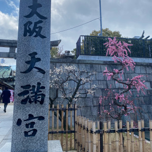 梅が綺麗|652872さんの大阪天満宮の写真(2080628)
