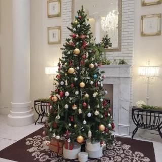 ロビーのクリスマスツリーも素敵でした。