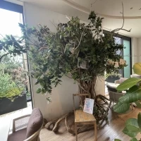 待ち合い室の木
ここに写真を飾ったりできる