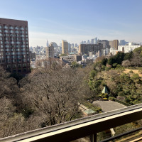 階によってかなり景観が変わります。