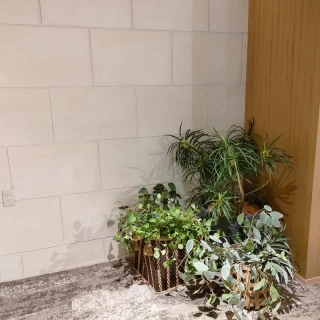 グリーンプラント