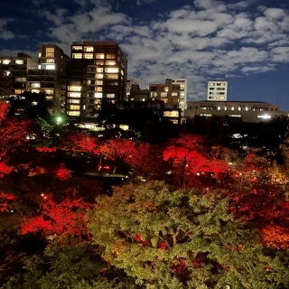 お庭の夜景が披露宴会場のお庭から見えました