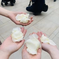 フラワーシャワー