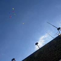 風船を庭で飛ばせます。