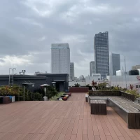 屋上から見える景色